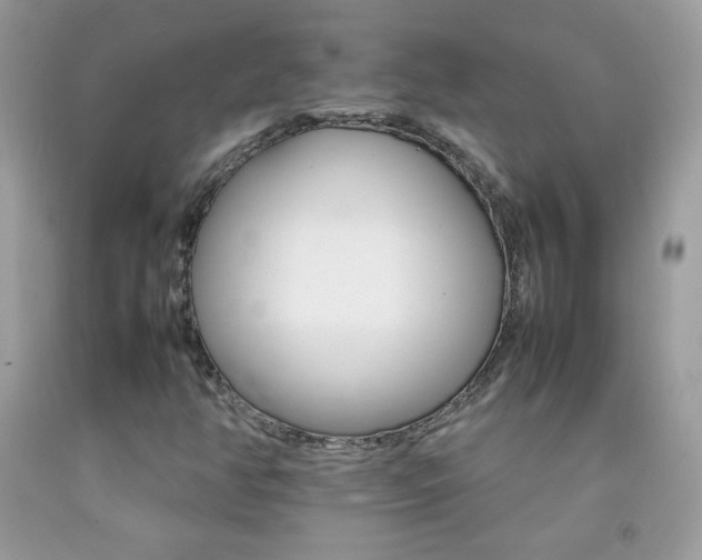 X0000092251350200709140957