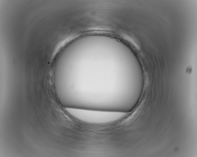 X0000092251357200709140957