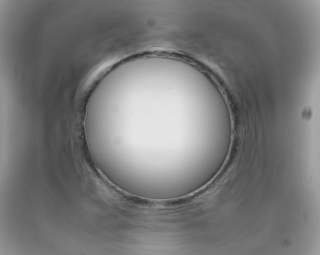 X0000092251359200709140957