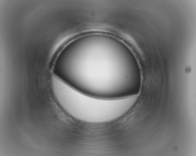 X0000092251360200709140957