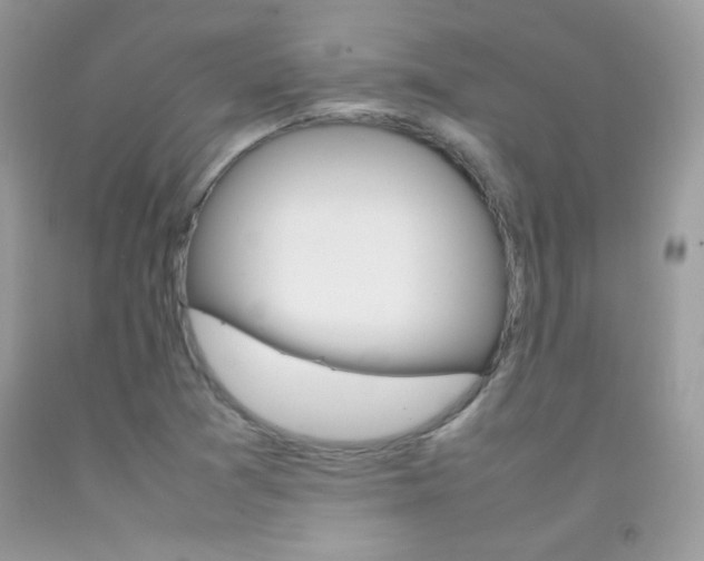 X0000092251361200709140956