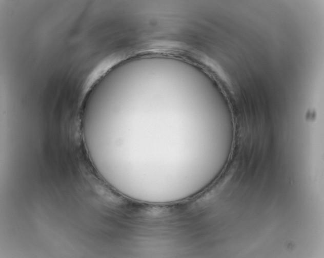 X0000092251362200709140956