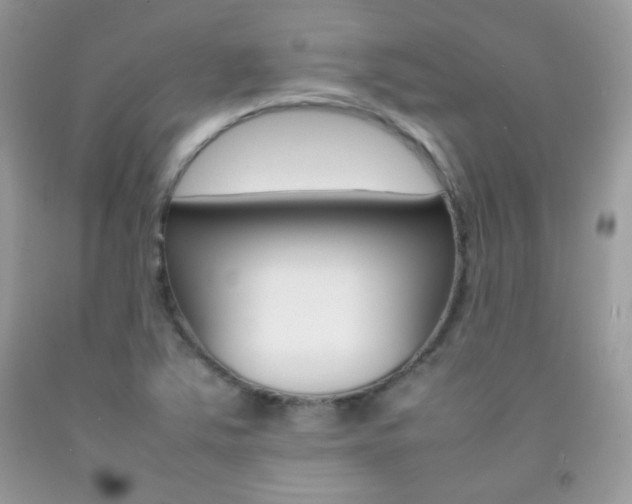 X0000092251363200709140956