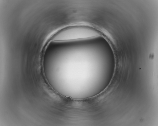X0000092251364200709140956