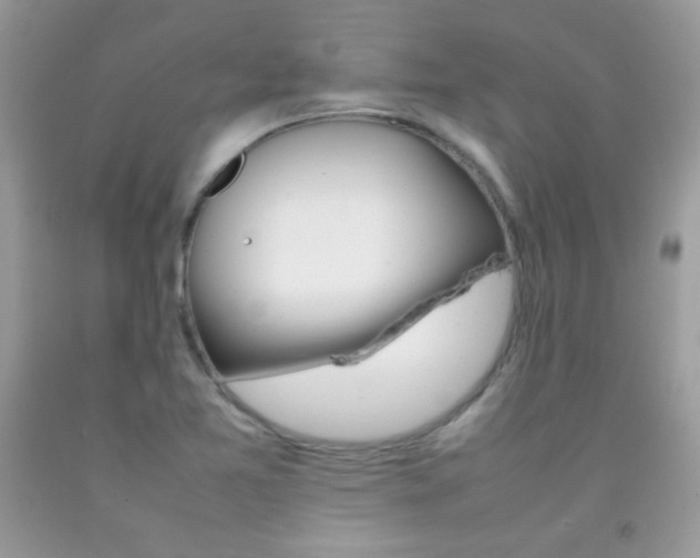 X0000092251365200709140956