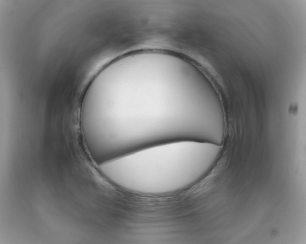 X0000092251366200709140956