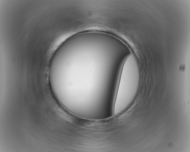 X0000092251367200709140956