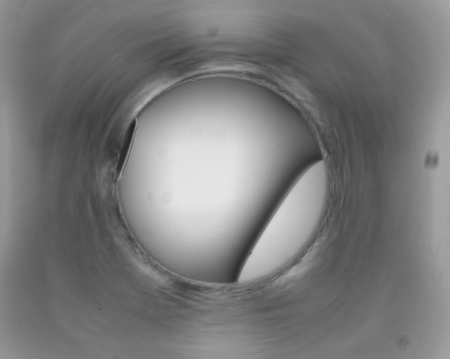 X0000092251369200709140956