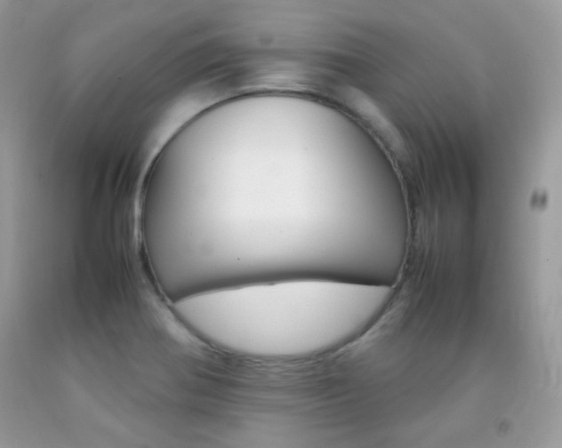 X0000092251370200709140956
