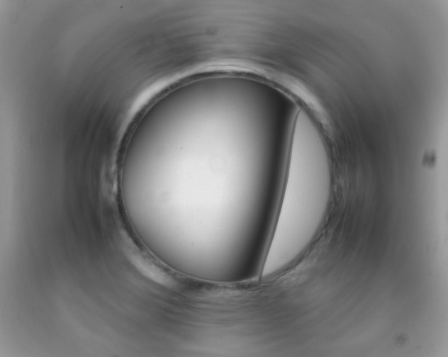 X0000092251372200709140956