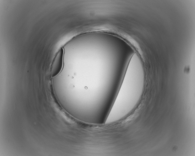 X0000092251373200709140956