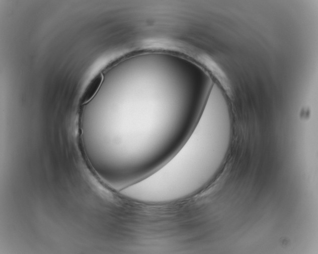 X0000092251376200709140956