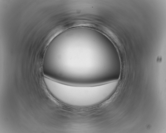 X0000092251377200709140956
