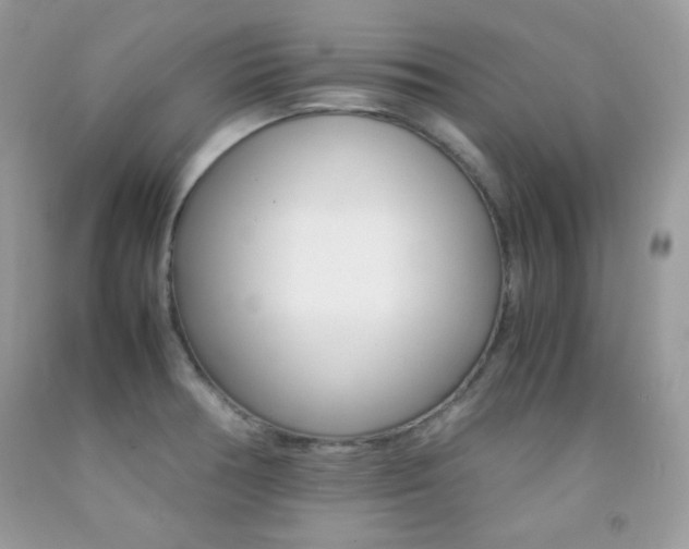 X0000092251378200709140956