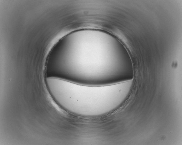 X0000092251379200709140956