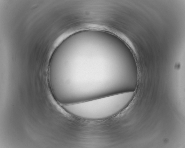 X0000092251381200709140956