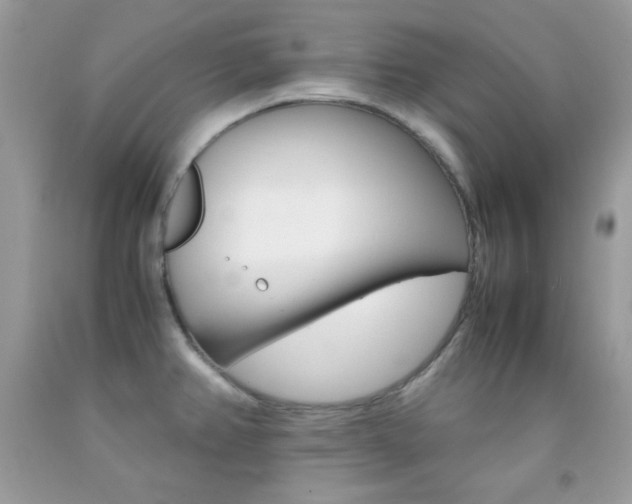 X0000092251382200709140956