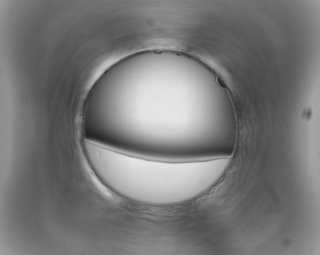X0000092251383200709140956