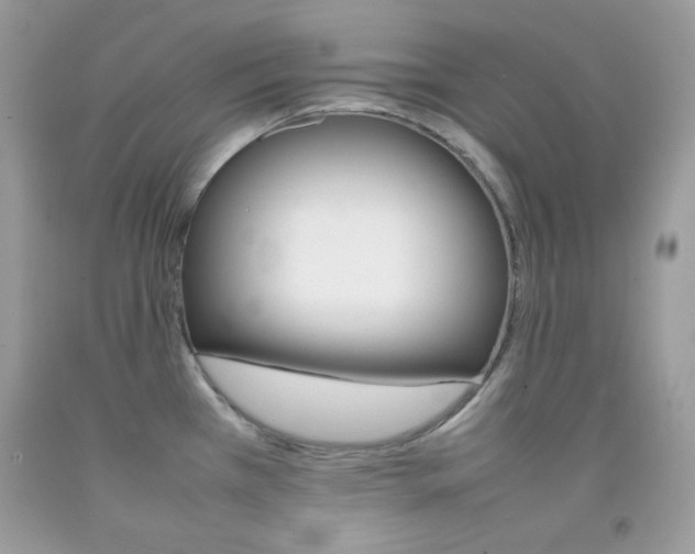 X0000092251385200709140956