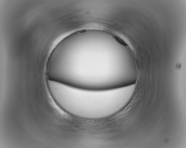 X0000092251387200709140956