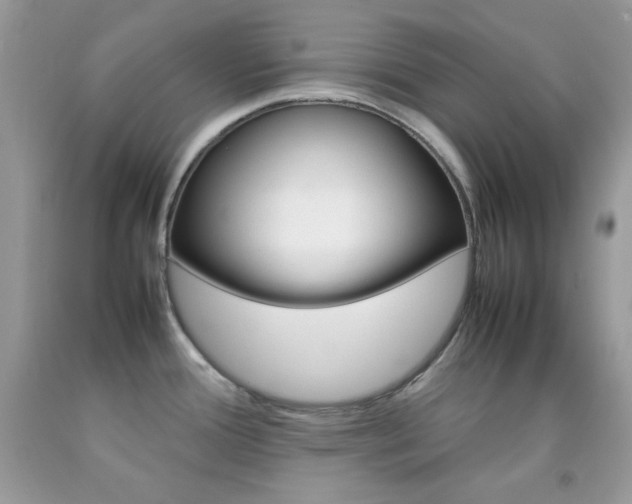 X0000092251388200709140956