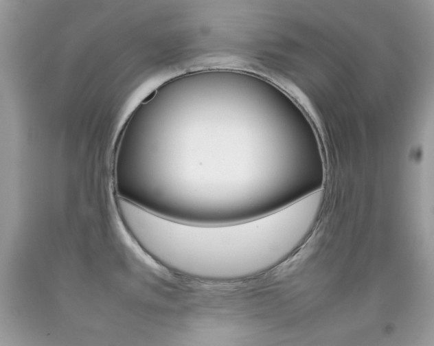 X0000092251389200709140956