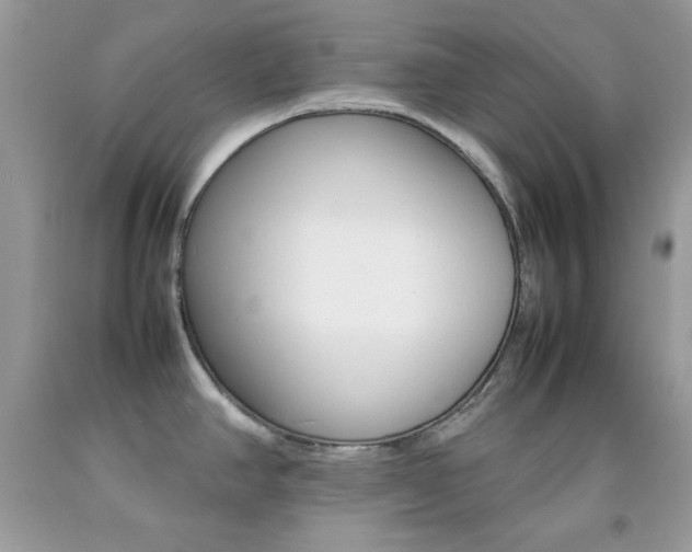 X0000092251390200709140956
