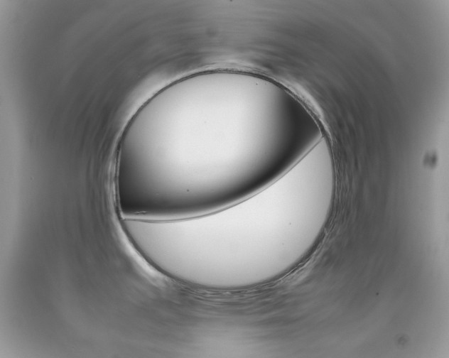 X0000092251391200709140956