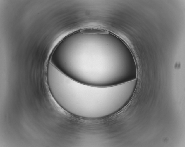 X0000092251392200709140956