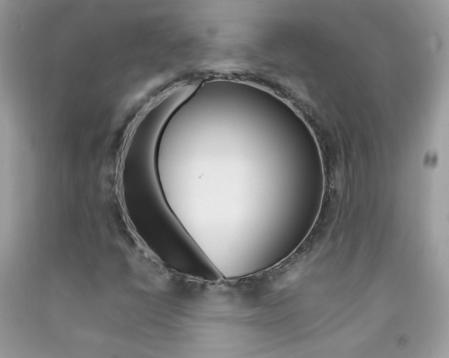 X0000092251398200709140956