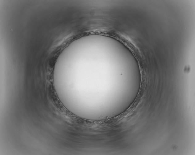 X0000092251399200709140956