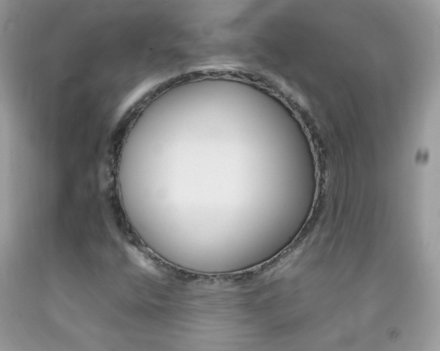 X0000092251400200709140956