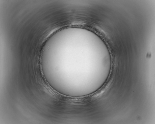 X0000092251401200709140956