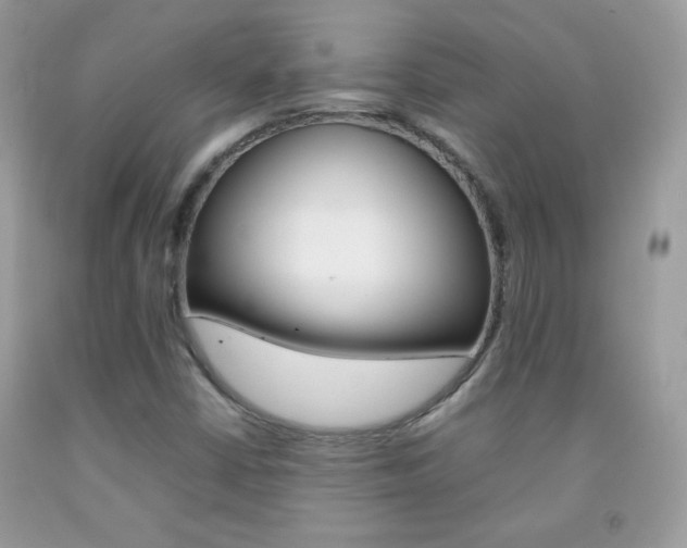 X0000092251402200709140956