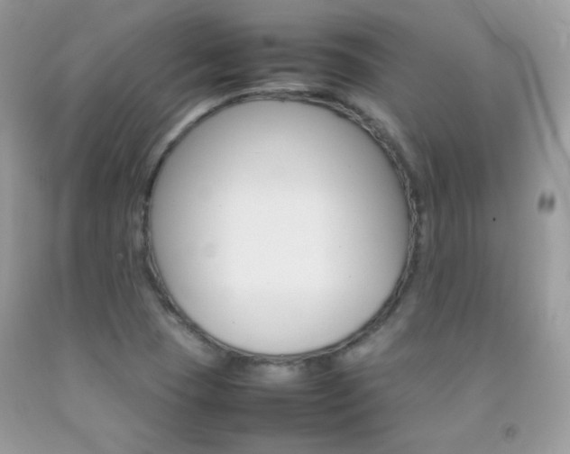 X0000092251409200709140956
