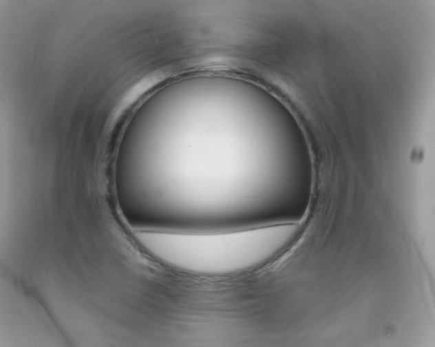 X0000092251410200709140956