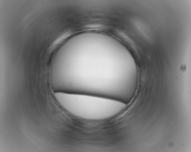 X0000092251411200709140956
