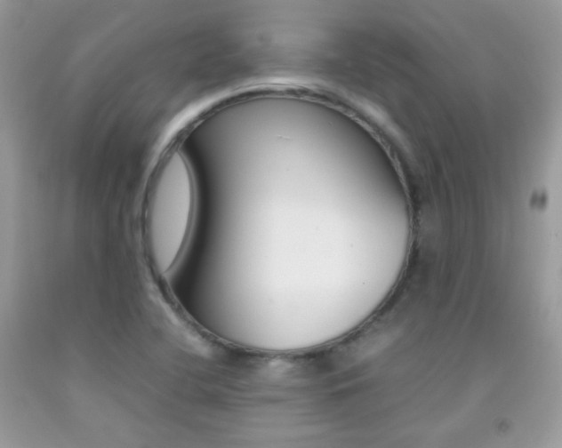 X0000092251412200709140956