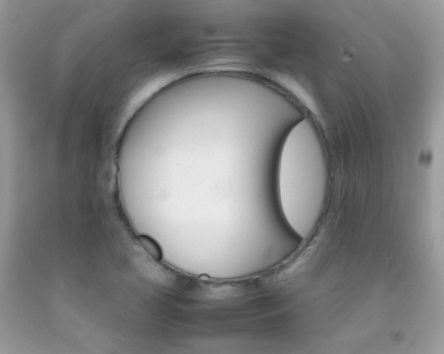 X0000092251413200709140956