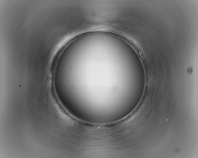 X0000092251414200709140956