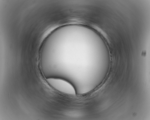 X0000092251415200709140956