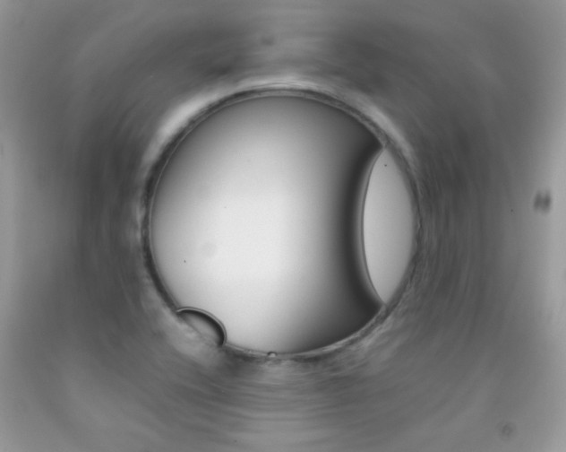 X0000092251416200709140956