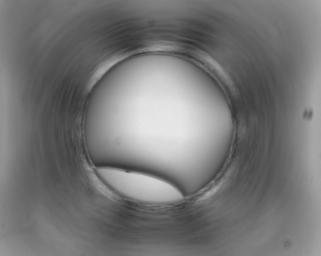 X0000092251417200709140956