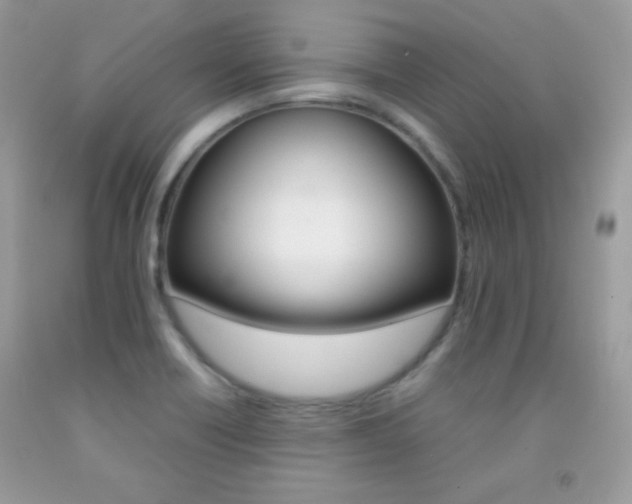X0000092251418200709140956