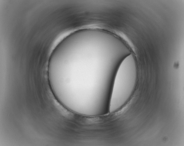 X0000092251421200709140956