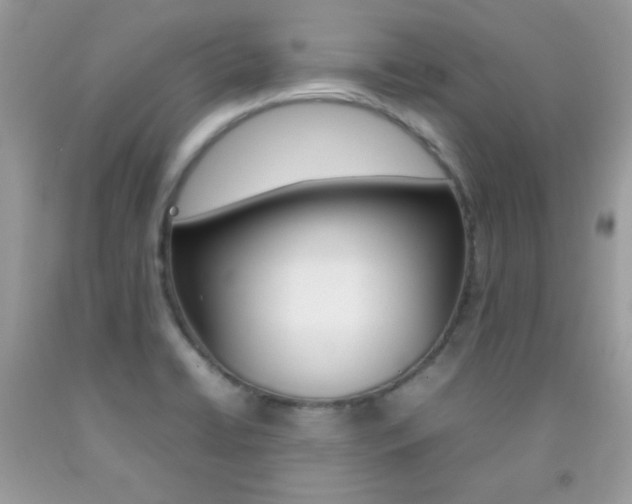 X0000092251422200709140956