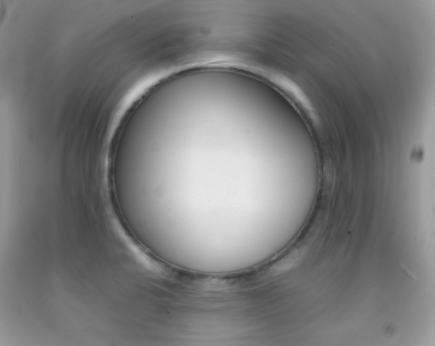 X0000092251424200709140956