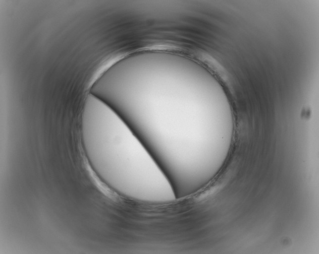 X0000092251425200709140956