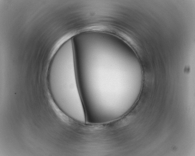 X0000092251426200709140956