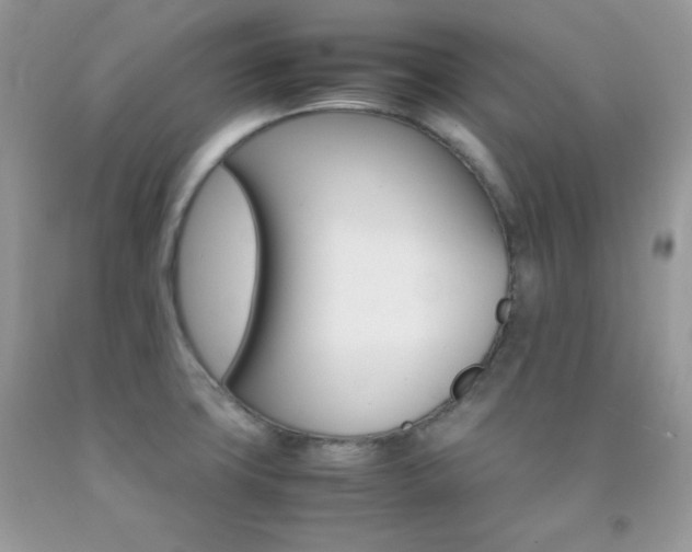 X0000092251427200709140956